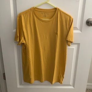 American Eagle Basic